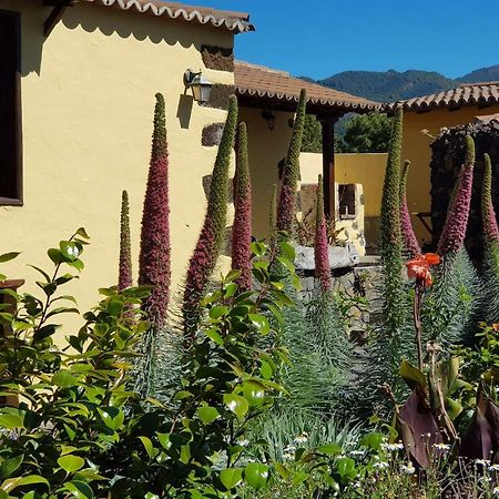 Ismail Villa El Paso Dış mekan fotoğraf