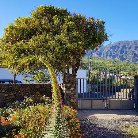 Ismail Villa El Paso Dış mekan fotoğraf